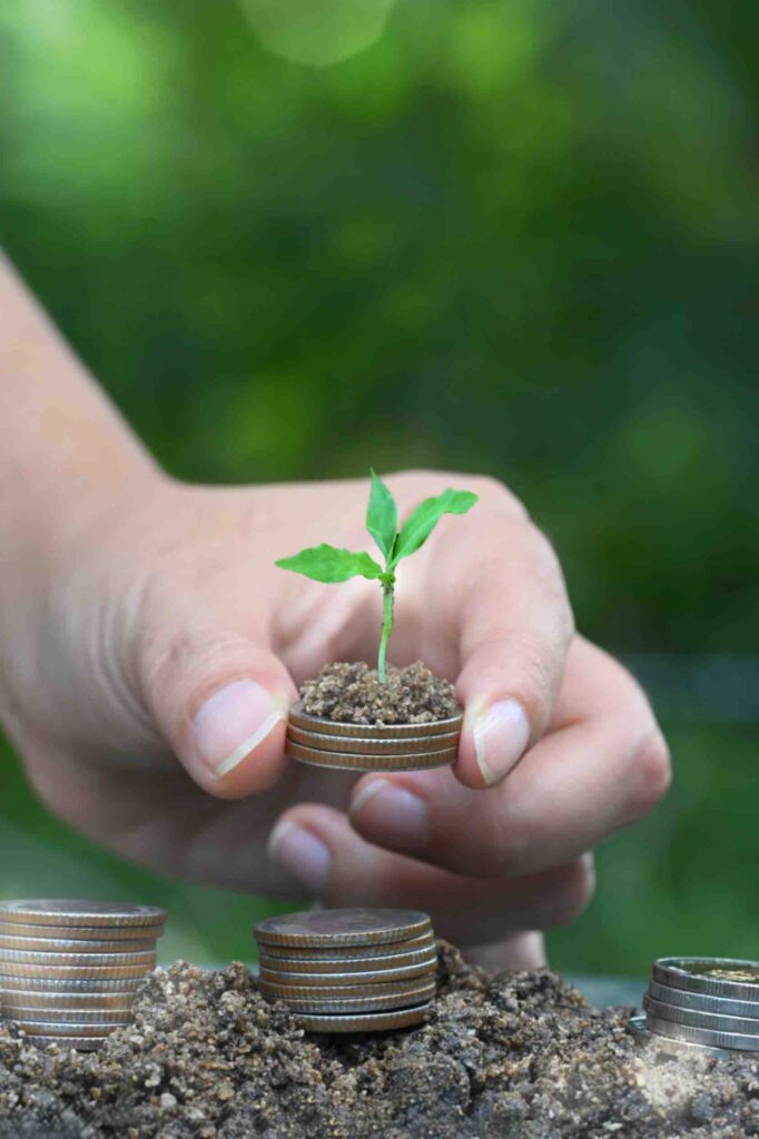 money-tree
